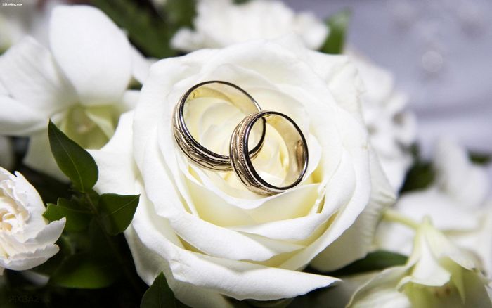 ۴۰ هزار کمک هزینه ازدواج به زوج‌های جوان تحت حمایت در سال جاری ارائه شد