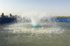 نخستین الگوی پیش ساخته پرورش متراکم ماهی در سیستان و بلوچستان افتتاح شد